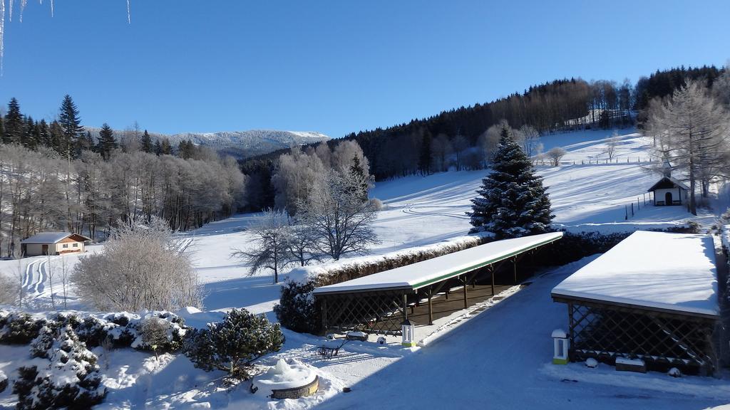 Landhotel Gruenwies -Bonsai-Wellness Garni (Adults Only) ローベルク エクステリア 写真