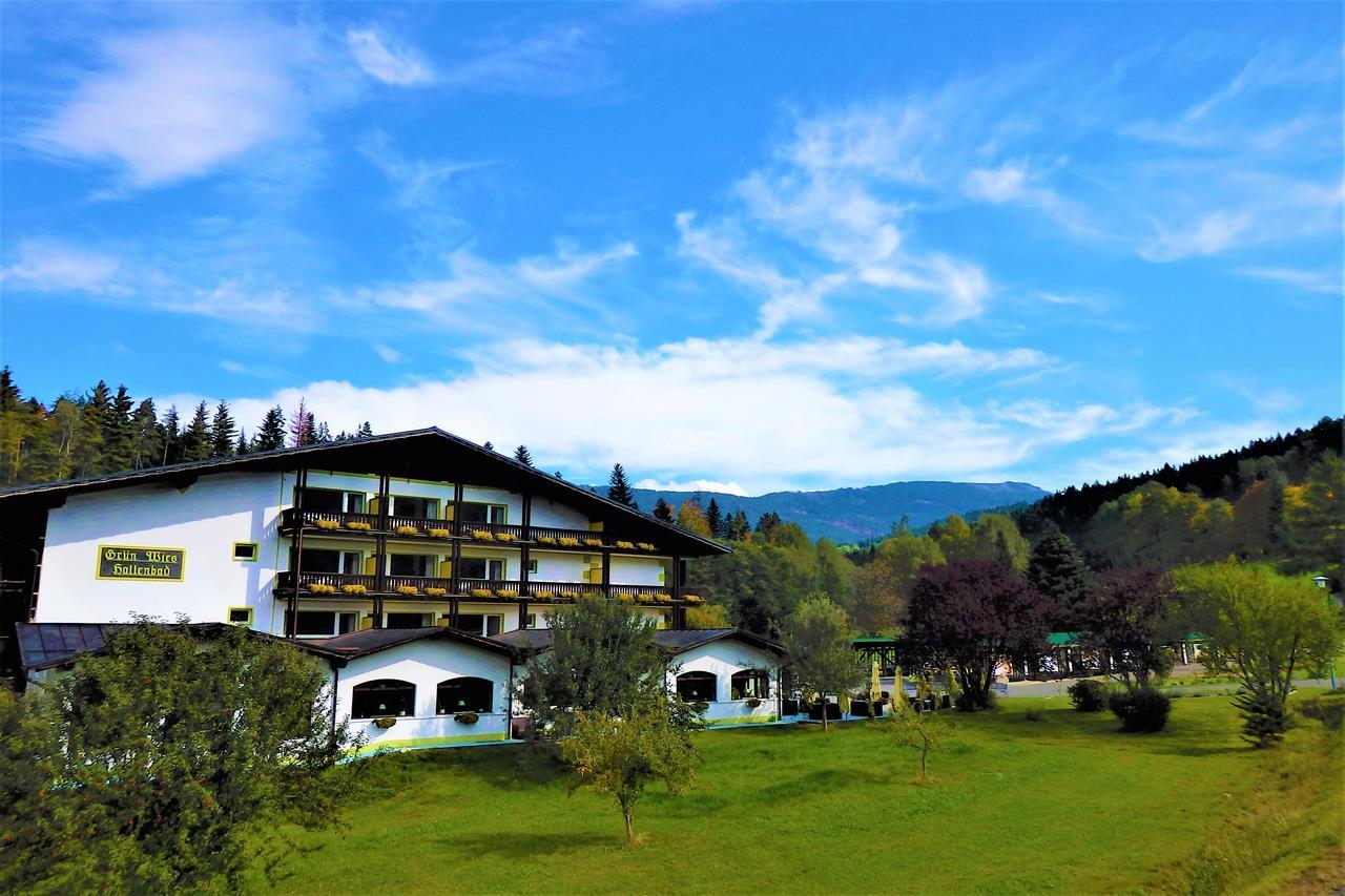 Landhotel Gruenwies -Bonsai-Wellness Garni (Adults Only) ローベルク エクステリア 写真
